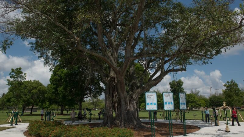 Tropical Park - Miami, FL