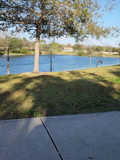 William Randolph Community Park - Miami, FL