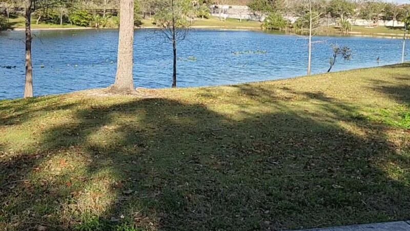William Randolph Community Park - Miami, FL