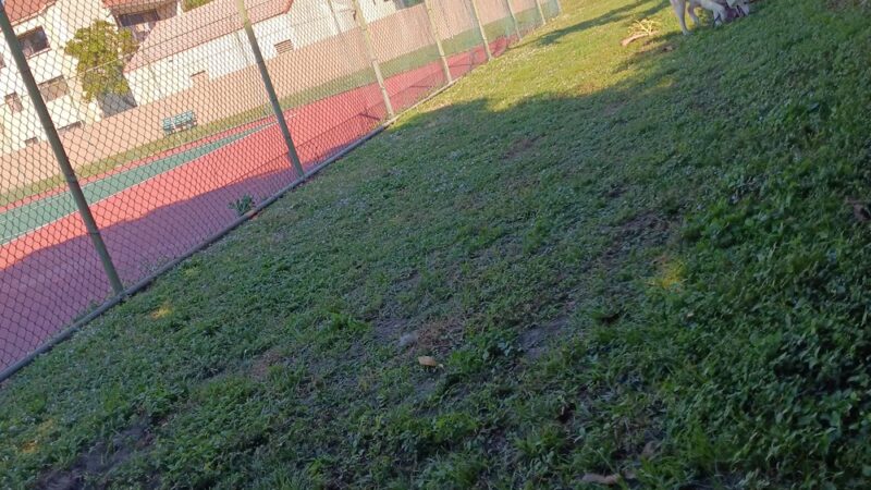 Happy Tappy Dog Park - Miami Lakes, FL