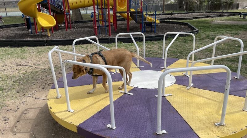 Roberts County Park - Miami, TX