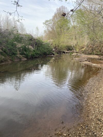 Michie City Park - Michie, TN