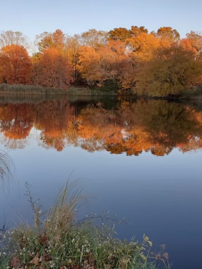 Bartlett Pond Park - Middle Island, NY