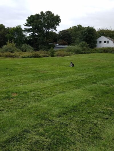 Fairfield Courtyard At Middle Island - Middle Island, NY