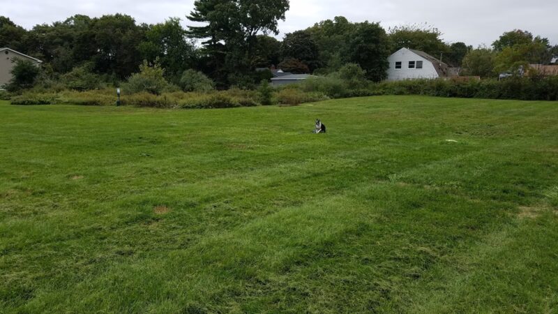 Fairfield Courtyard At Middle Island - Middle Island, NY