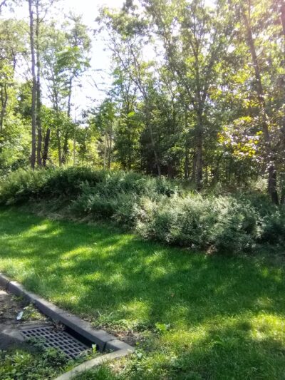 Oasis Park - Middle Island, NY