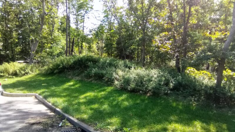 Oasis Park - Middle Island, NY