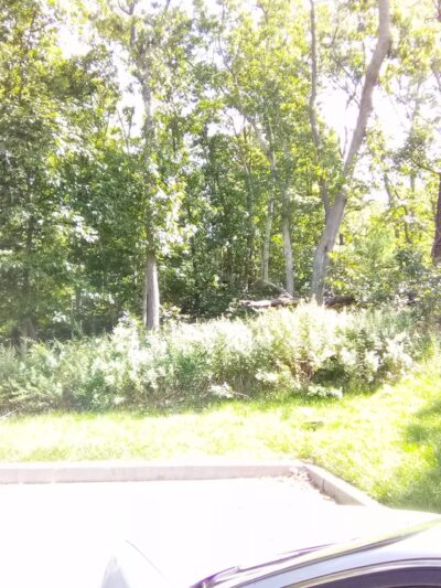 Oasis Park - Middle Island, NY
