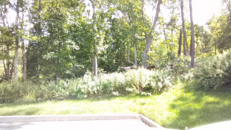 Oasis Park - Middle Island, NY