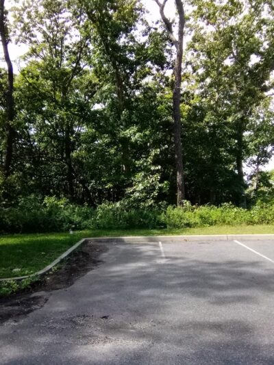 Oasis Park - Middle Island, NY