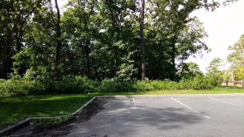 Oasis Park - Middle Island, NY