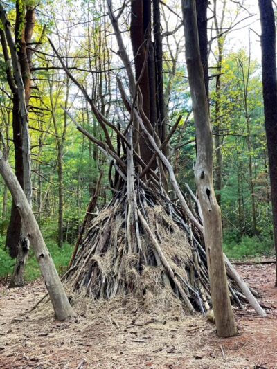 Prosser Pines Nature Preserve - Middle Island, NY