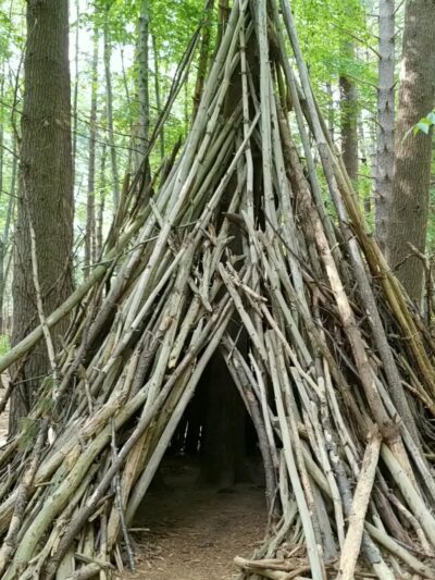Prosser Pines Nature Preserve - Middle Island, NY