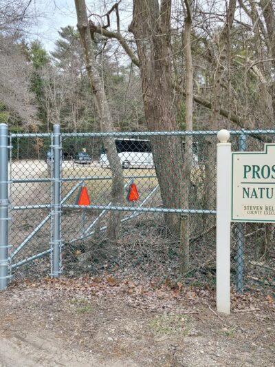 Prosser Pines Nature Preserve - Middle Island, NY