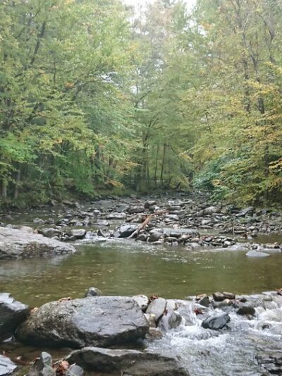 Shady Rill Park - Middlesex, VT