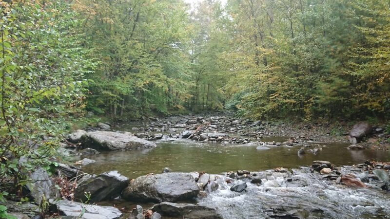 Shady Rill Park - Middlesex, VT