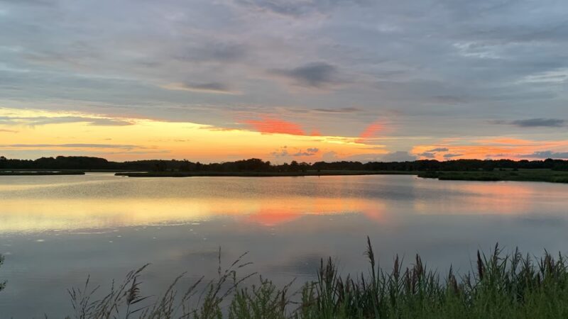 Augustine Wildlife Area - Middletown, DE