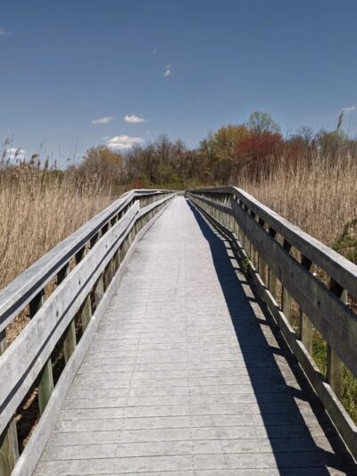 Augustine Wildlife Area - Middletown, DE