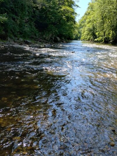 Catoctin Creek Park & Nature Center - Middletown, MD