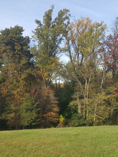 Greenfield Park - Middletown, PA