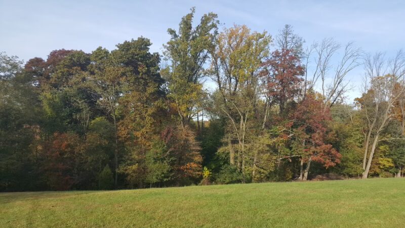 Greenfield Park - Middletown, PA