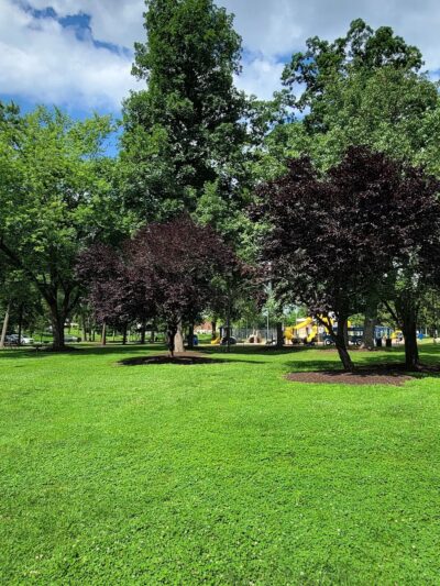 Hoffer Park - Middletown, PA