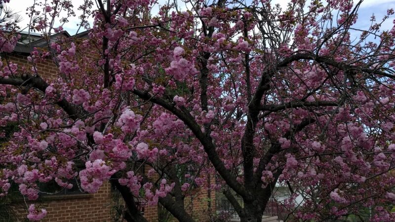 Oak Hills Park - Middletown, PA