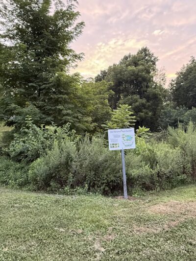 Old Reliance Park - Middletown, PA