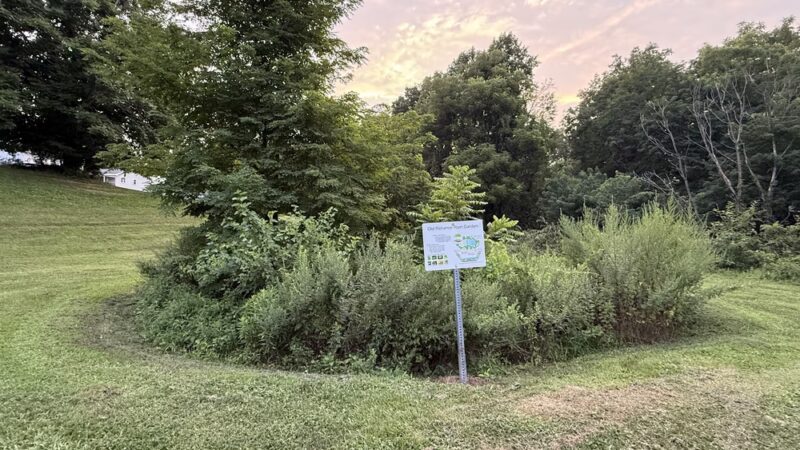 Old Reliance Park - Middletown, PA