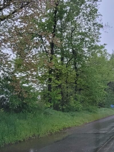 Swatara Creek Water Trail - Middletown, PA