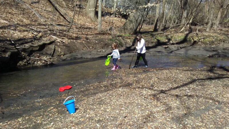 Poricy Park Fossil Beds - Middletown Township, NJ