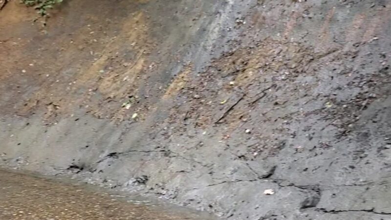 Poricy Park Fossil Beds - Middletown Township, NJ