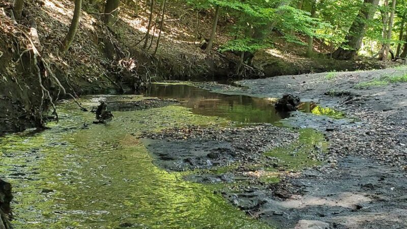Poricy Park Fossil Beds - Middletown Township, NJ