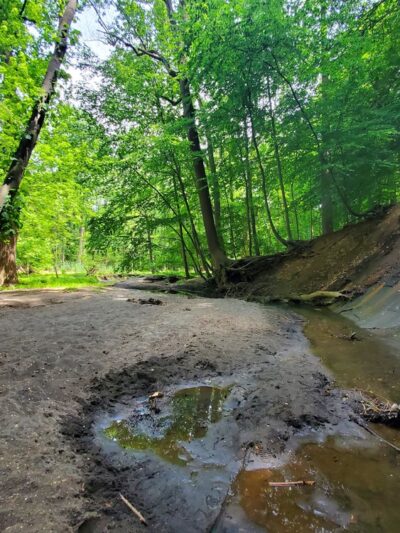 Poricy Park Fossil Beds - Middletown Township, NJ