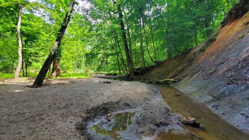 Poricy Park Fossil Beds - Middletown Township, NJ