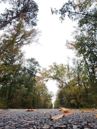Fall Line Trace Psalmond RD - Midland, GA