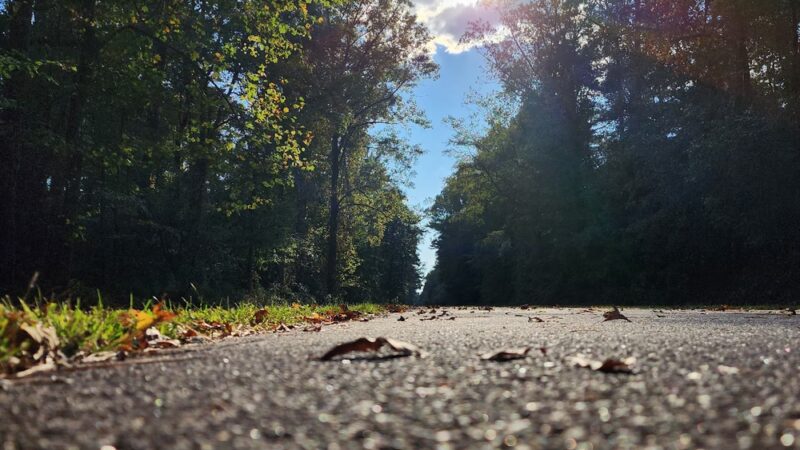 Fall Line Trace Psalmond RD - Midland, GA