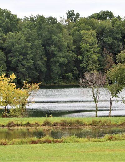 Rob Wallace Park - Midland, NC