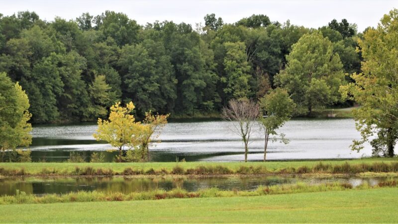 Rob Wallace Park - Midland, NC