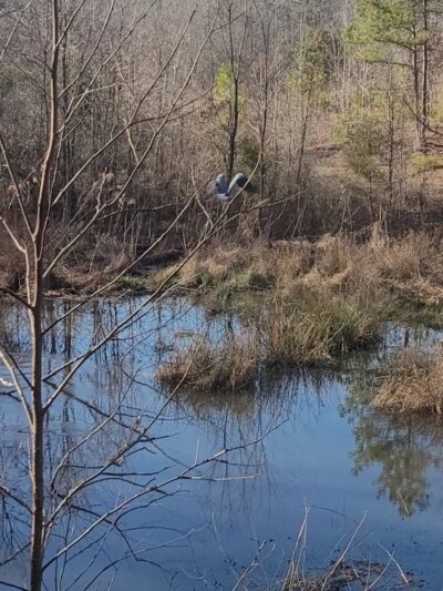 Rob Wallace Park - Midland, NC