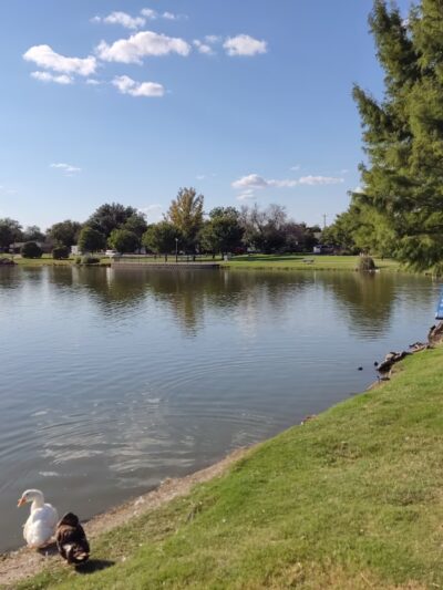 Wadley-Barron Park - Midland, TX