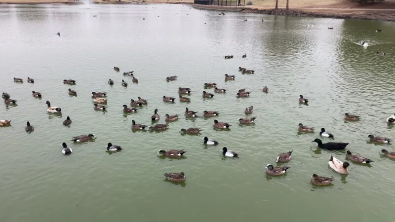 Wadley-Barron Park - Midland, TX