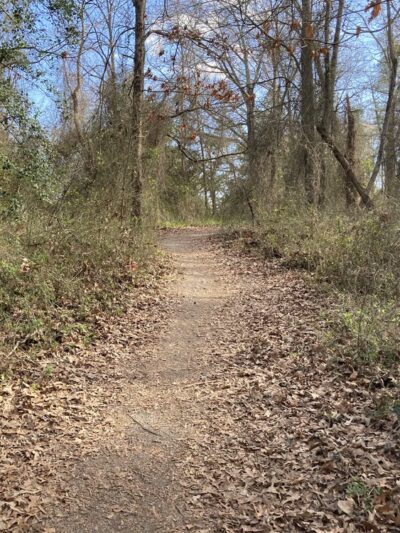 Midlothian Village Park - Midlothian, VA