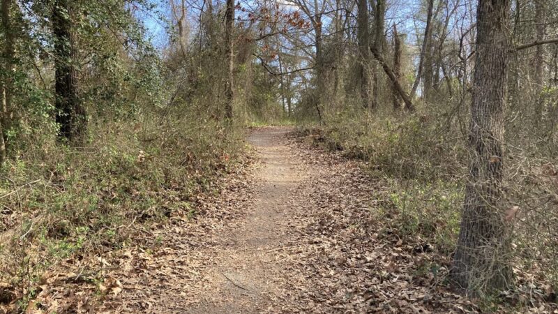 Midlothian Village Park - Midlothian, VA