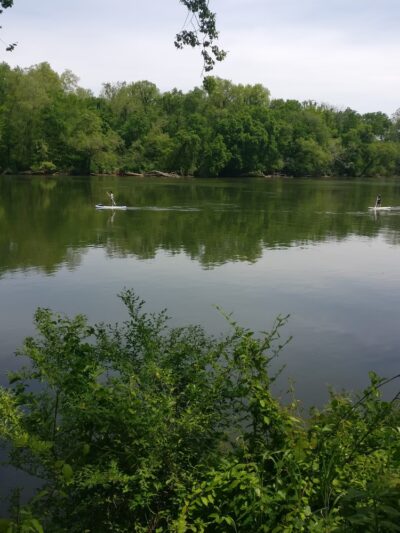 Robious Landing Park - Midlothian, VA