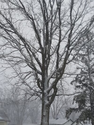 Reineke Park - Milaca, MN