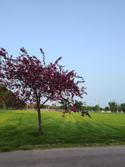 Pribyl Park - Milbank, SD