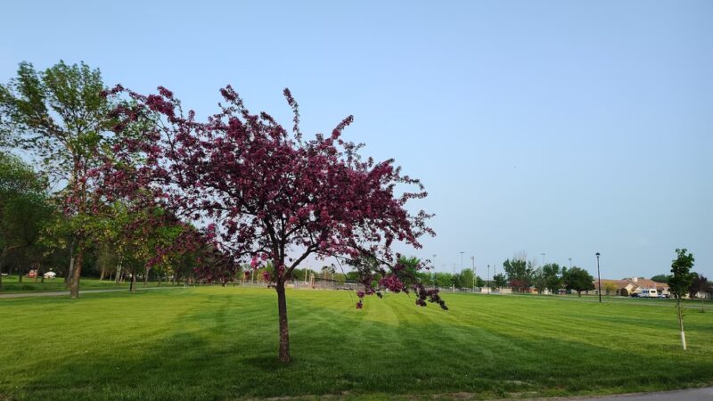 Pribyl Park - Milbank, SD