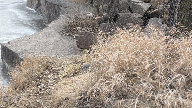 Public Park - Milbank, SD