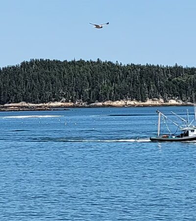 McClellan Park and campground - Milbridge, ME